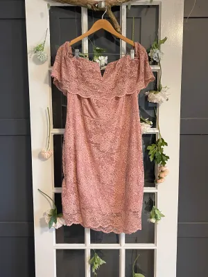 Charlotte Russe Blush Lace Dress 3X