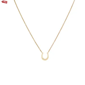 Small Horseshoe Pendant & Helen Chain Necklace