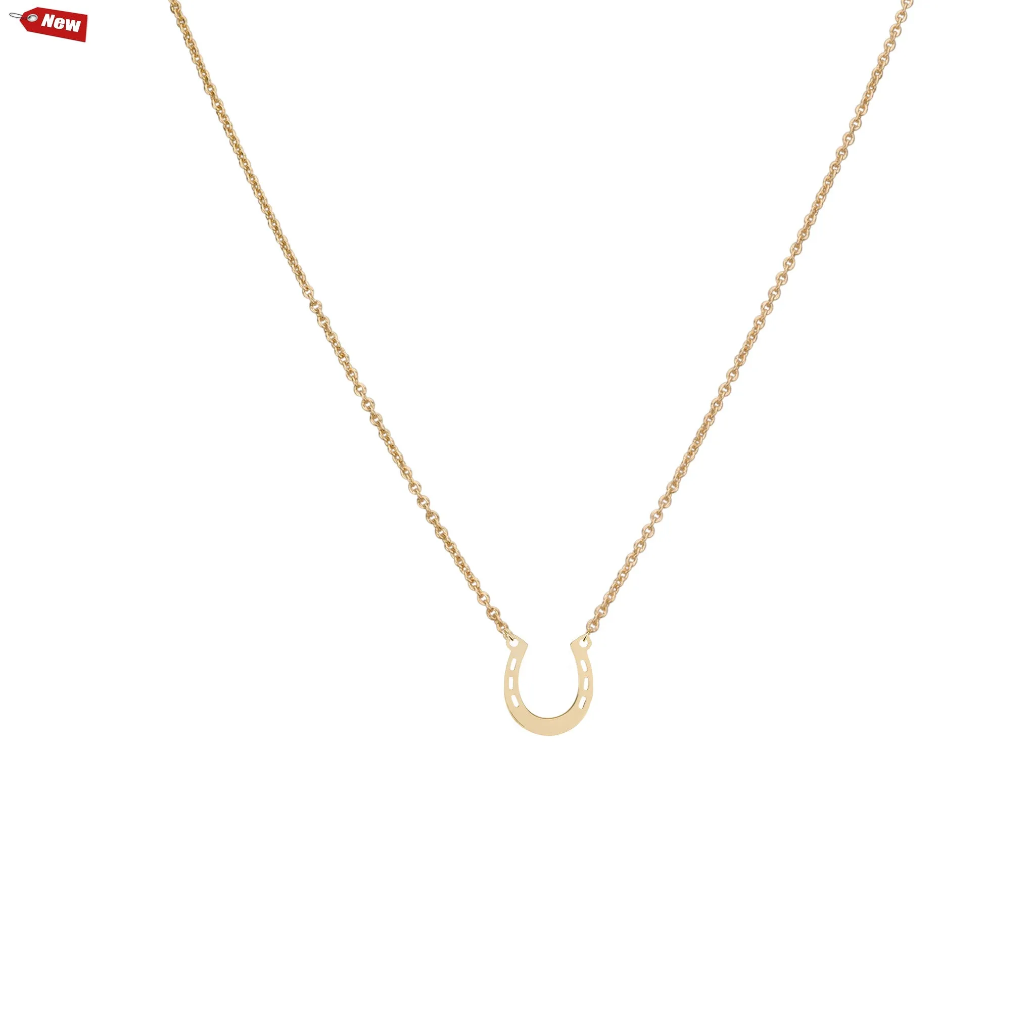 Small Horseshoe Pendant & Helen Chain Necklace